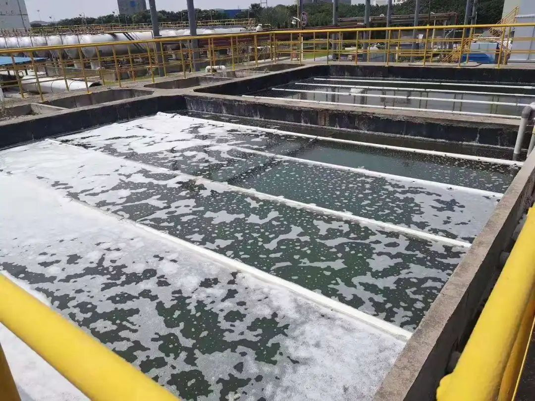 廢水生物處理 廢水生物處理