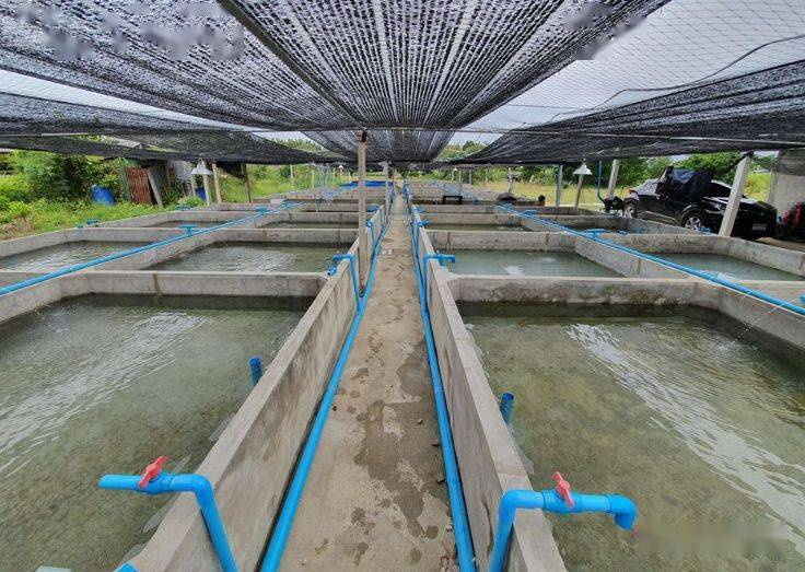 海產品水產養殖污水處理方案-污水處理流程-樂中環保