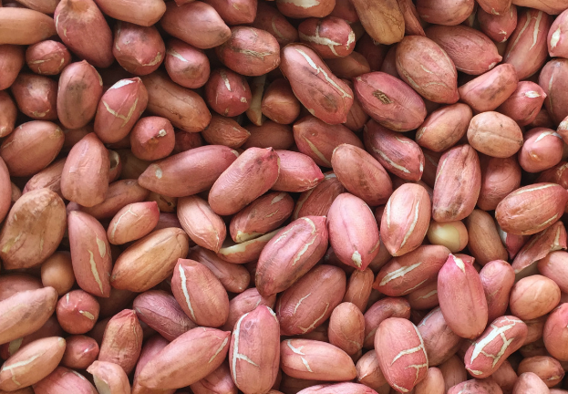 花生清洗加工廢水的特點及處理方法-樂中環(huán)保 花生清洗加工廢水的特點及處理方法-樂中環(huán)保