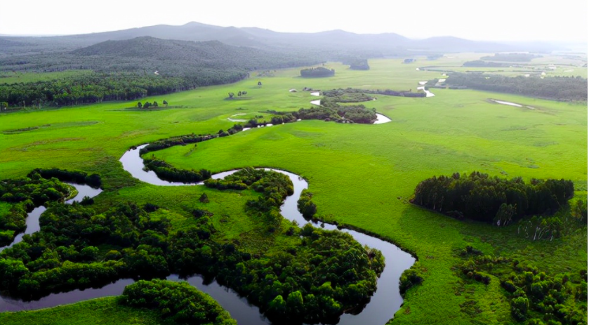 哈爾濱大量污水未經(jīng)處理直排松花江，會(huì)對當(dāng)?shù)芈糜螛I(yè)帶來哪些影響