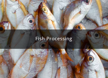 食品廠污水處理新思路，印度食品污水處理經驗淺析